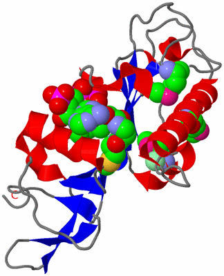 Image Asym./Biol. Unit