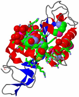 Image Asym./Biol. Unit - sites