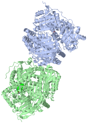 Image Biological Unit 1