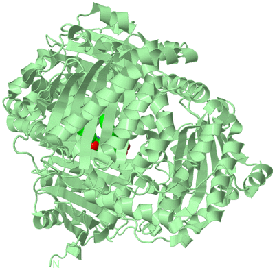 Image Biological Unit 3