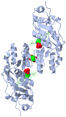 Image Biological Unit 2