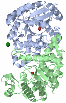 Image Asym./Biol. Unit