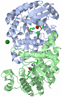 Image Asym./Biol. Unit - sites