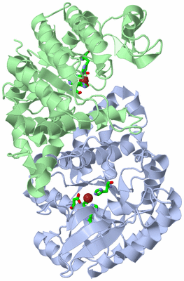 Image Asym./Biol. Unit - sites