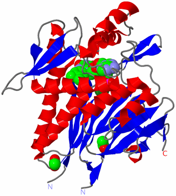 Image Asym./Biol. Unit