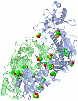 Image Asym./Biol. Unit