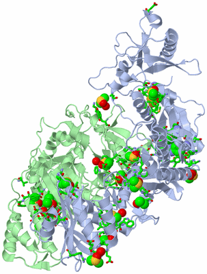 Image Asym./Biol. Unit - sites