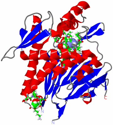 Image Asym./Biol. Unit - sites