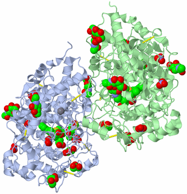 Image Asym./Biol. Unit