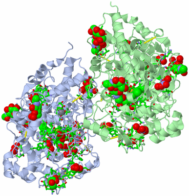 Image Asym./Biol. Unit - sites