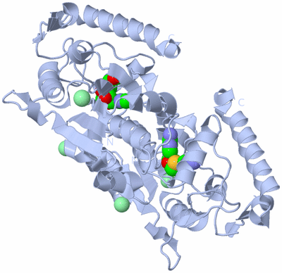 Image Biological Unit 1