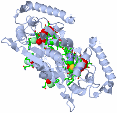 Image Biol. Unit 1 - sites