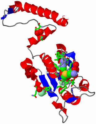 Image Asym. Unit - sites