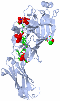 Image Biol. Unit 1 - sites