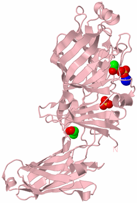 Image Biological Unit 3