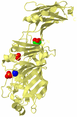 Image Biological Unit 4