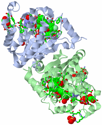 Image Asym./Biol. Unit - sites