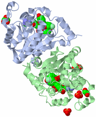 Image Asym./Biol. Unit