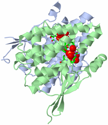 Image Asym./Biol. Unit - sites