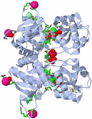 Image Biol. Unit 1 - sites