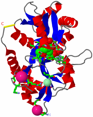 Image Asym. Unit - sites