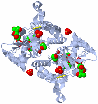 Image Biological Unit 1