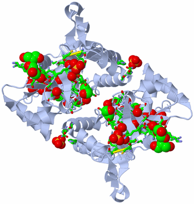 Image Biol. Unit 1 - sites