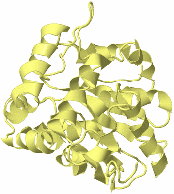 Image Biological Unit 4