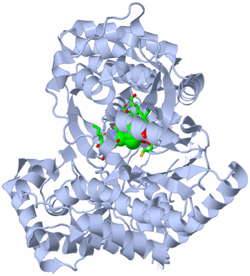 Image Biol. Unit 1 - sites