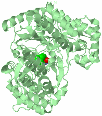 Image Biological Unit 2