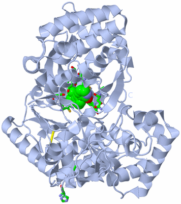 Image Biol. Unit 1 - sites