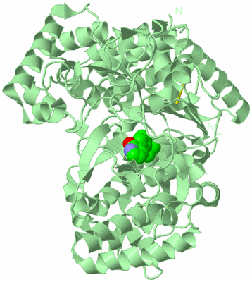 Image Biological Unit 2