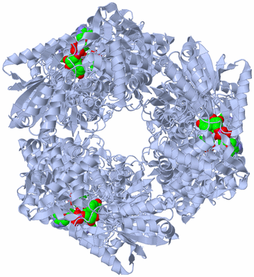 Image Biological Unit 2