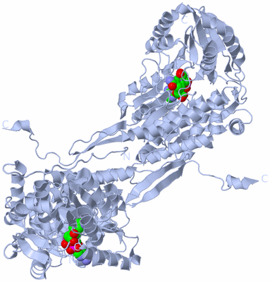 Image Biological Unit 3