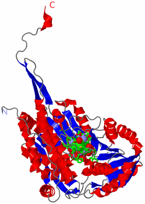 Image Asym. Unit - sites