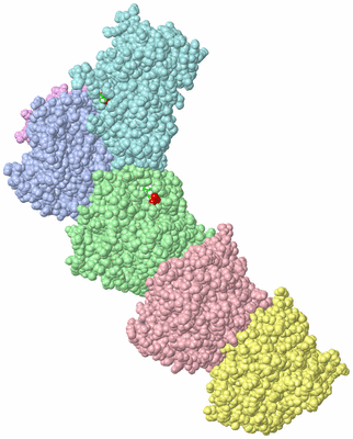 Image Asym./Biol. Unit