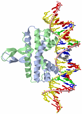 Image Asym./Biol. Unit