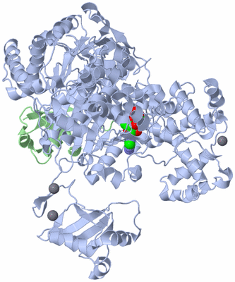 Image Biological Unit 1