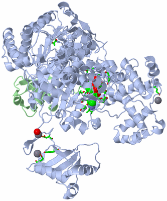 Image Biol. Unit 1 - sites