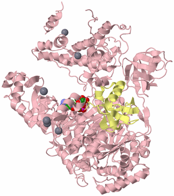 Image Biological Unit 2