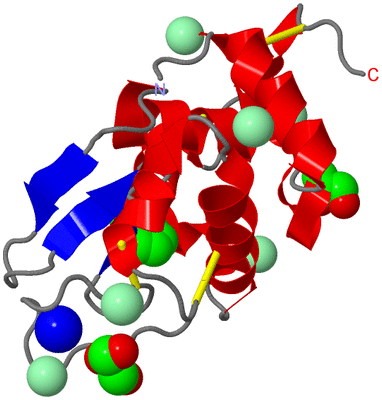 Image Asym./Biol. Unit