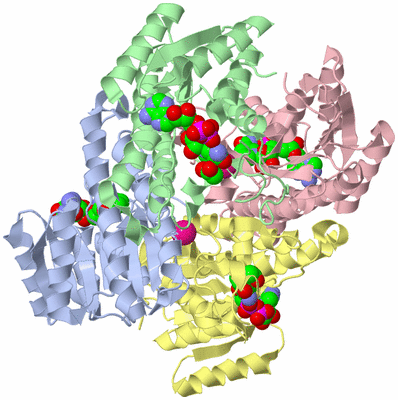 Image Asym./Biol. Unit