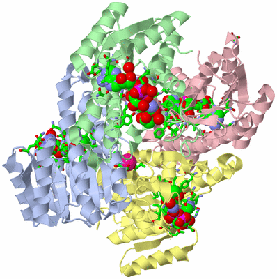 Image Asym./Biol. Unit - sites