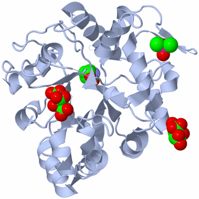 Image Biological Unit 1