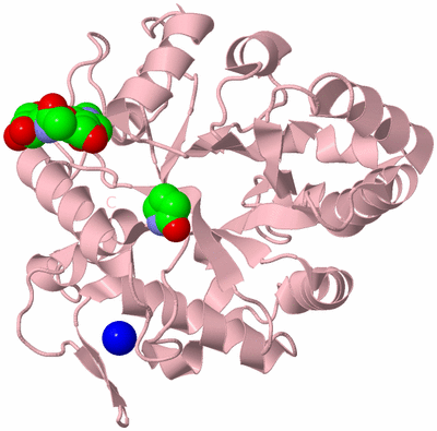 Image Biological Unit 3