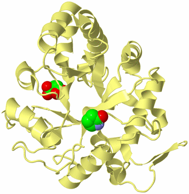 Image Biological Unit 4