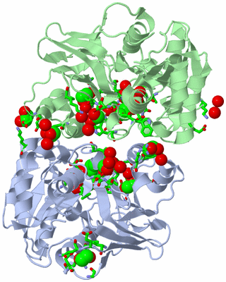 Image Asym./Biol. Unit - sites