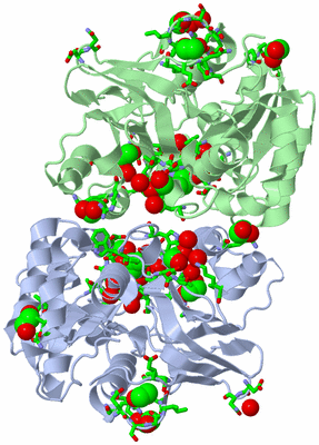 Image Asym./Biol. Unit - sites