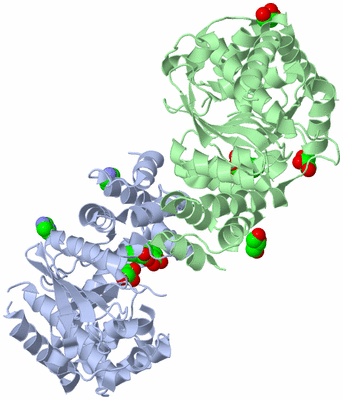 Image Asym./Biol. Unit