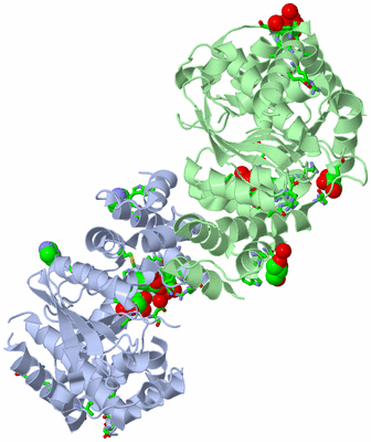 Image Asym./Biol. Unit - sites